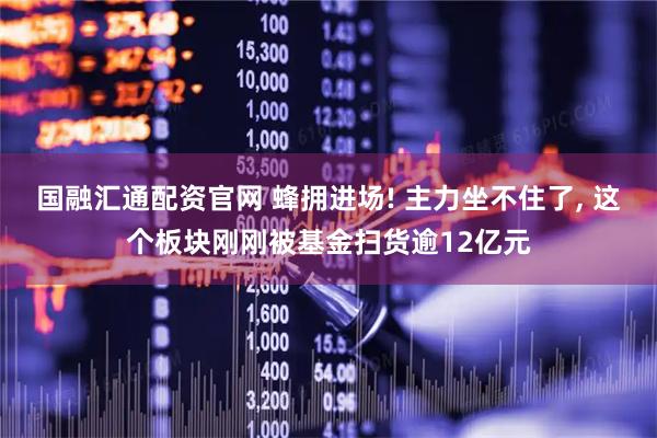 国融汇通配资官网 蜂拥进场! 主力坐不住了, 这个板块刚刚被基金扫货逾12亿元