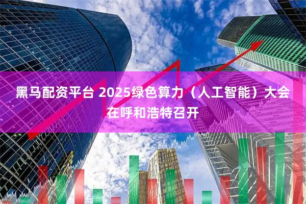 黑马配资平台 2025绿色算力（人工智能）大会在呼和浩特召开